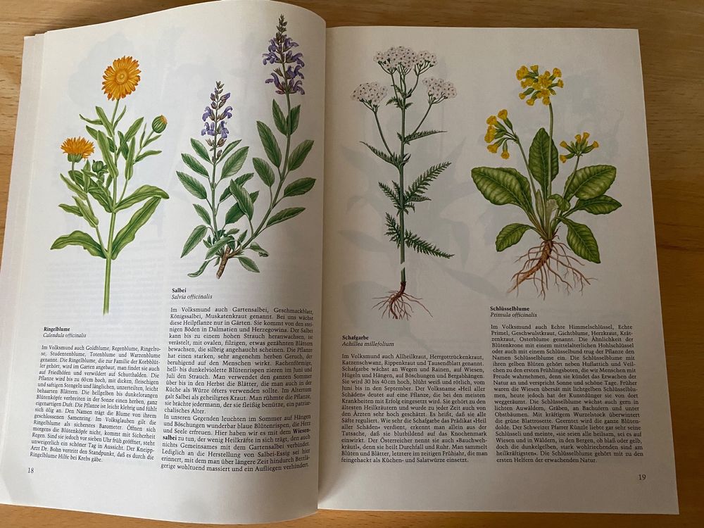 Heilkräuter aus dem Garten Gottes Maria Treben Kaufen auf Ricardo
