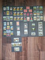 Briefmarken Sammlung Schweiz und International, Top!