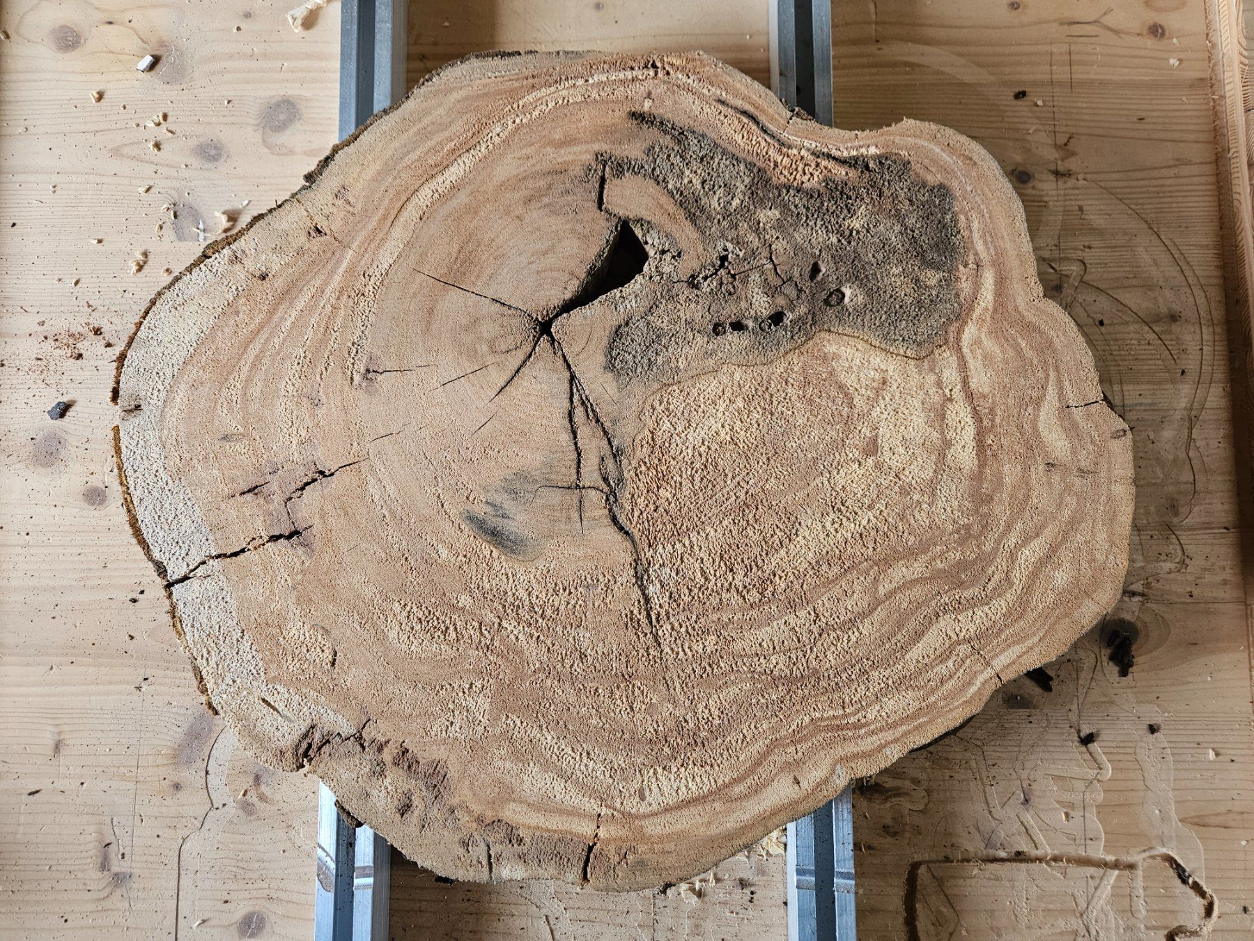 Articles en bois: Baumscheibe Kirschbaum Holz – Neuf (Voir description) à Schangnau par egli6.2 2