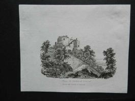 Dornach Ruinen vom Schloss