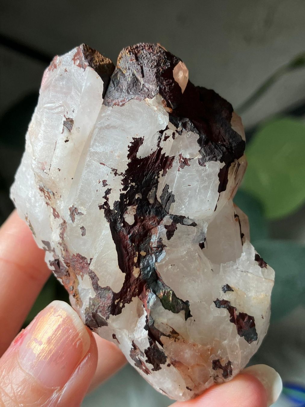 Mineralien & Heilsteine: Roter Quarz-Cluster (Gruppe) – Neu (gemäss Beschreibung) aus Neuheim von m.hald 7