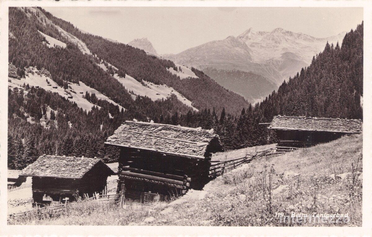 Ansichtskarten: Tenigerbad GR // 1934 Waldhäuser 1273 Meter – Gebraucht aus Basel von intermezzo12