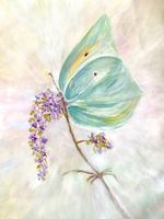 Handgemaltes Acryl Bild   Schmetterling. NEU. Unikat Gemälde