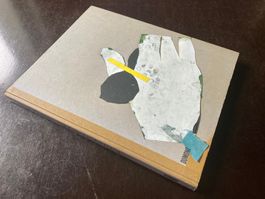 Magnus Plessen: Die Augen in der Hand