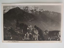 Alte Fotografie Fürstentum Liechtenstein, vintage! dat 1952