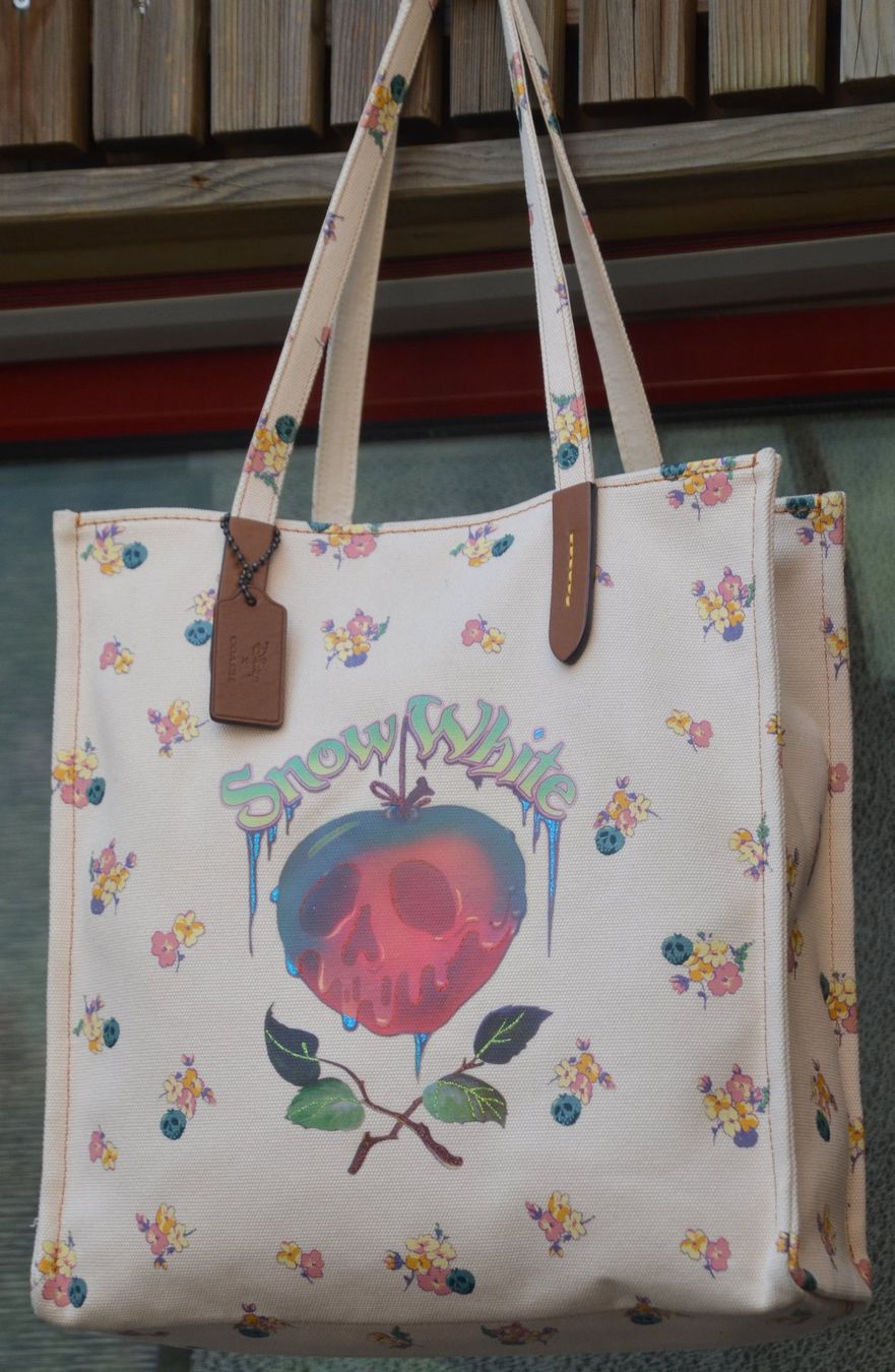 Coach Borse da donna: Coach - Disney Tascge / sac – Usato da Collonges venduto da arashee 1