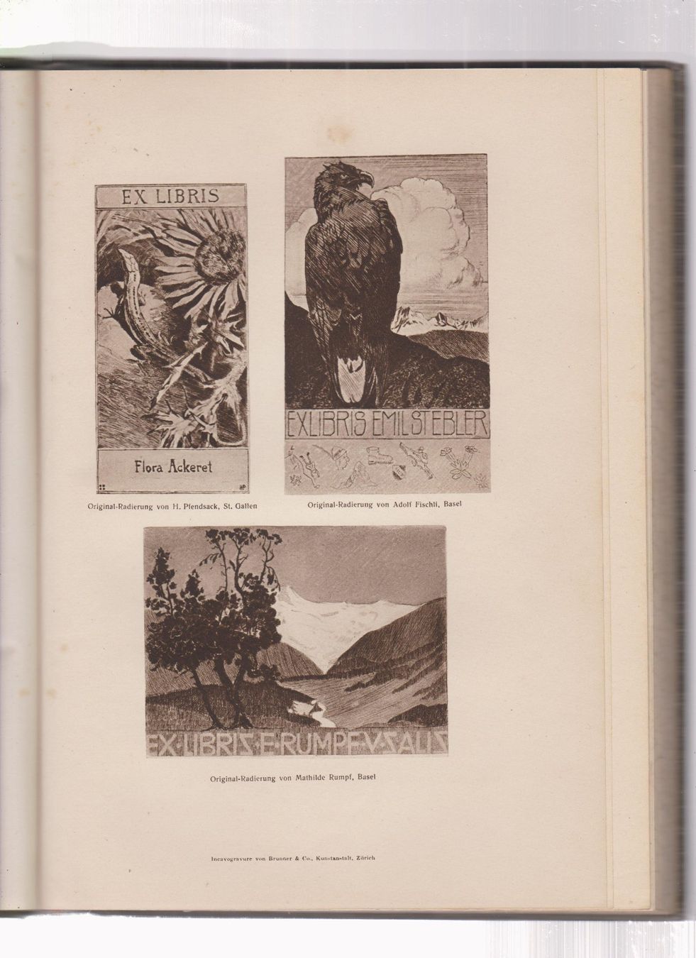 Libri: Ex Libris  und  Jahrbuch SAC von 1916 – Usato da Vitznau venduto da Mina60