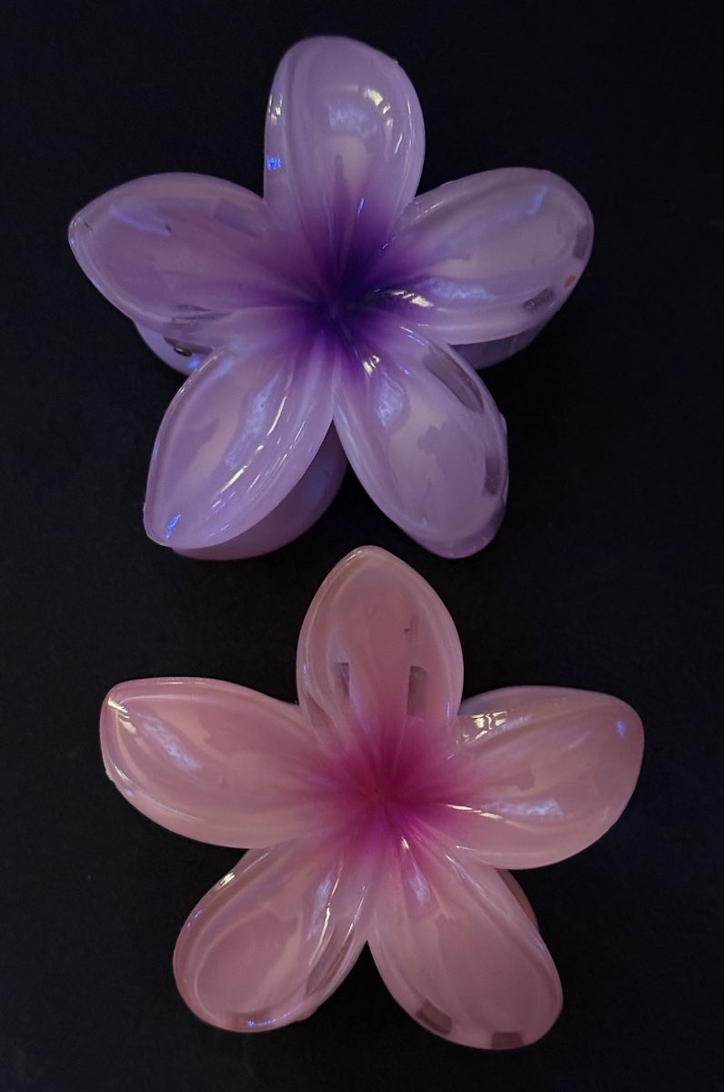 Accessori per capelli: 2 Haarklammern Blume – Usato da Goldach venduto da igwhitestar