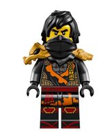 LEGO Minifigur Ninjago Cole njo970 (aus Set 71844)
