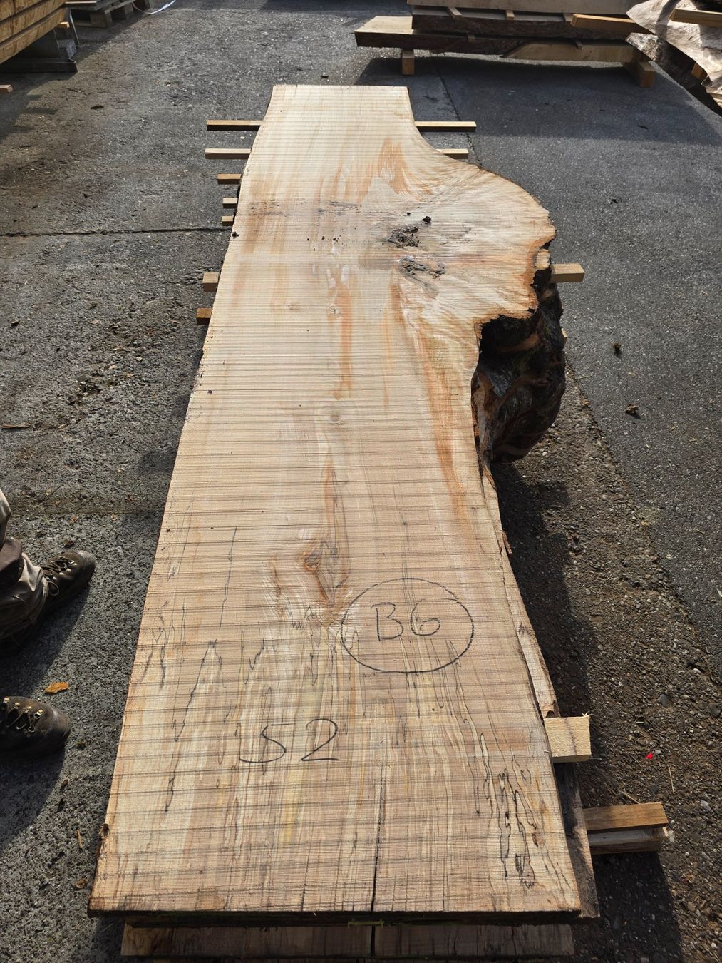 Articoli in legno: Buchenknollen Brett – Nuovo (secondo la descrizione) da Ramsei venduto da Waelchris 2