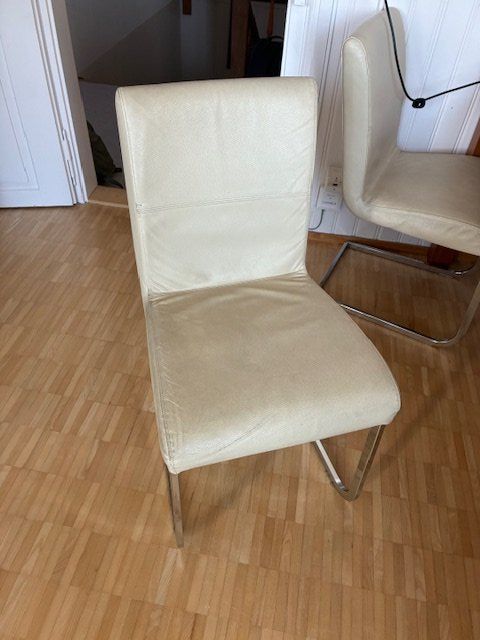 Stühle: Schwingstühle Leder – Gebraucht aus Wittenbach von -mr