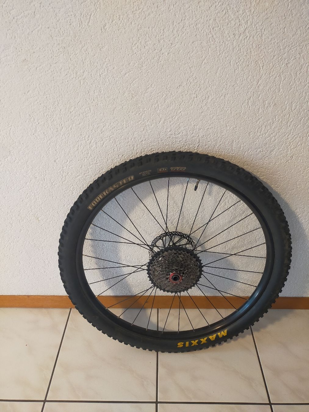Pneumatici & Ruote complete: Hinterrad Downhill. EB152mm – Usato da Richenthal venduto da DonTom69 5