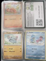 Seltene Pokemon Kärtchen Vulpix, Phanpy, Shellos Sommer Koll