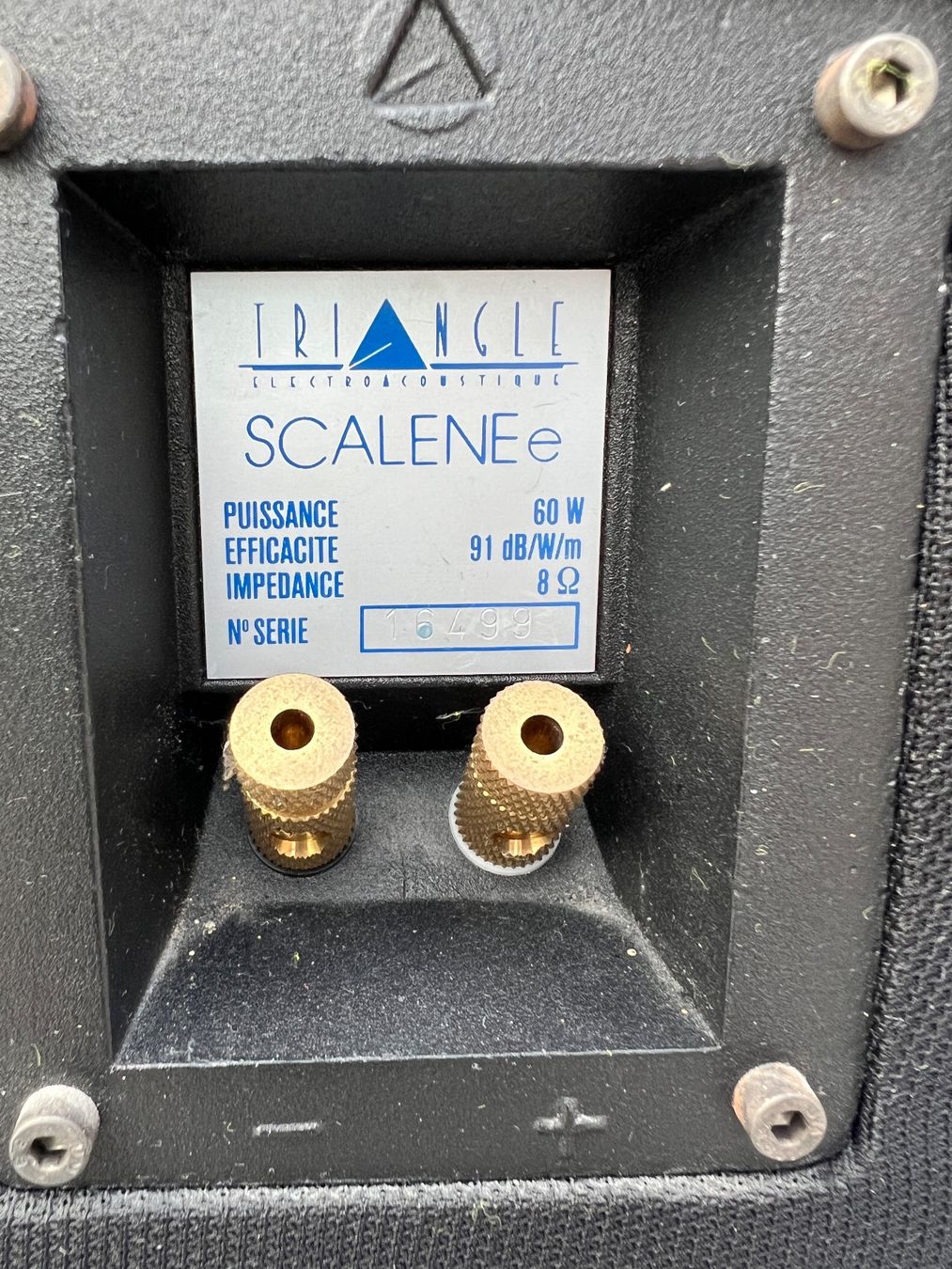 Casse acustiche: Einsteiger High-End-Boxen von Triangle – Usato da Baden venduto da exo-force5400 2