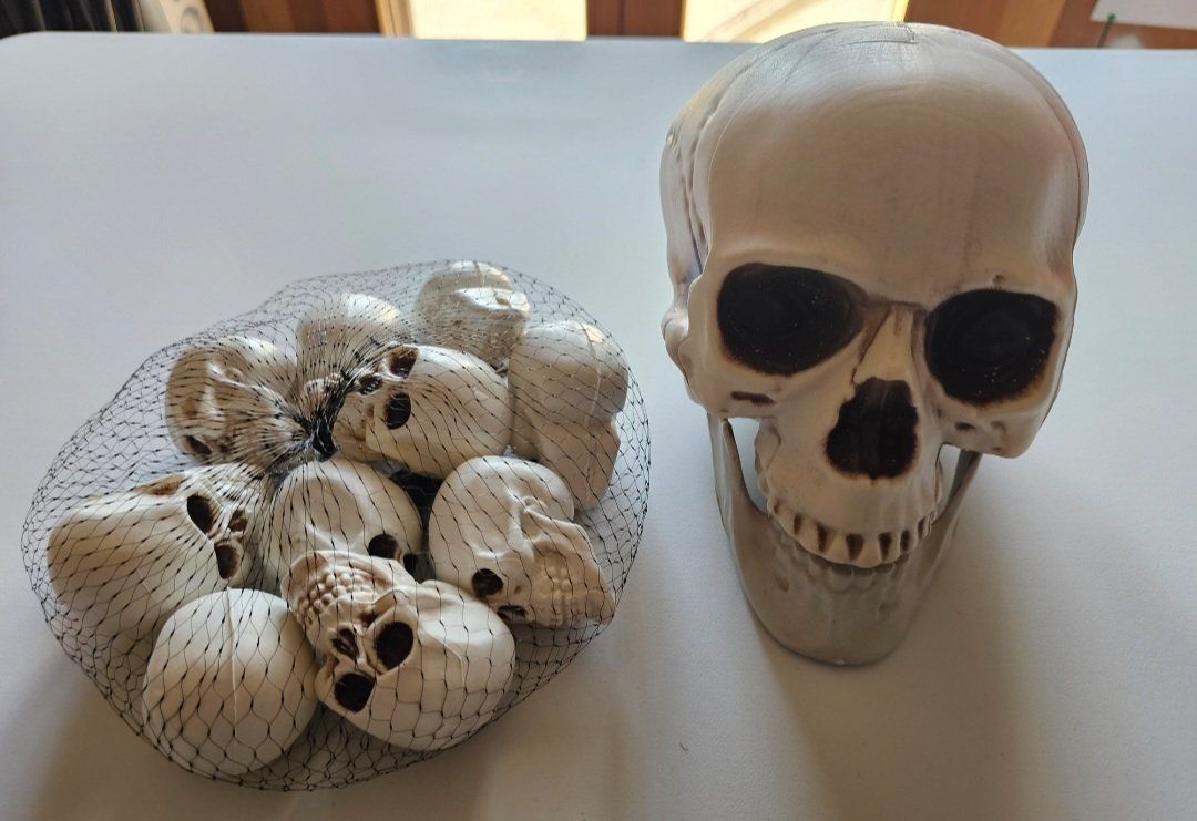 Tutte le decorazioni: Totenköpfe (leichtes Material) – Usato da Balterswil venduto da Dikdik1992