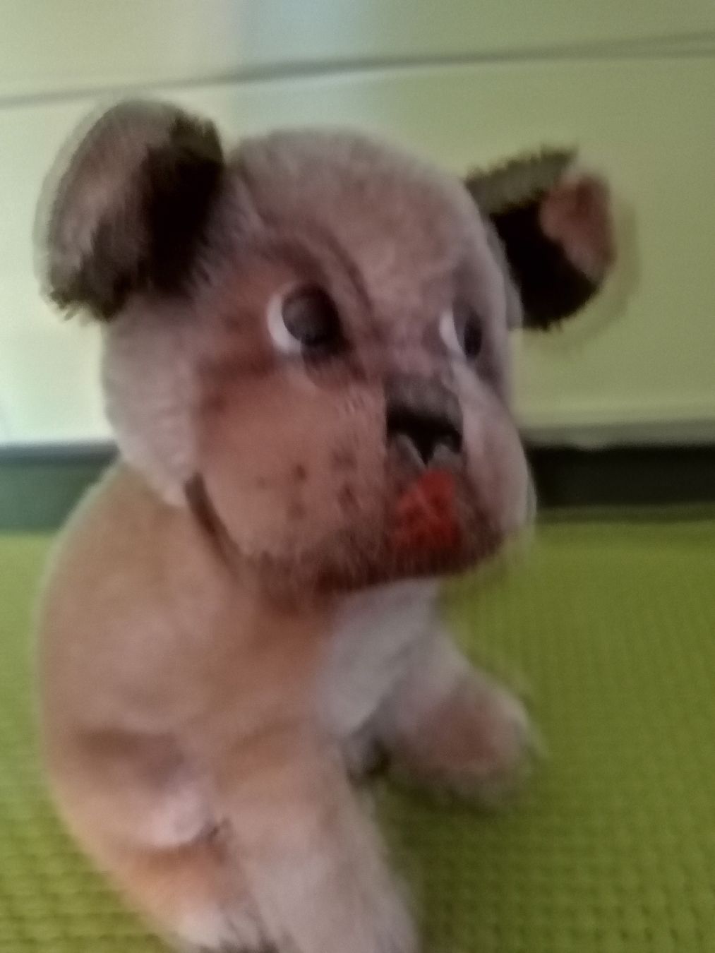 Steiff Giocattoli: Steiff Hund Mopsy. Gross – Usato da Biberist venduto da troedlerheinz
