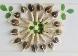 Moringa Samen Pulver Kapseln