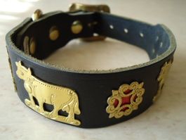 Appenzeller Hundehalsband