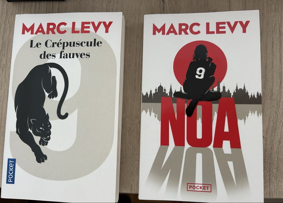 Libri: Romans Marc Levy – Nuovo (secondo la descrizione) da Neuchâtel venduto da mey_gx5m