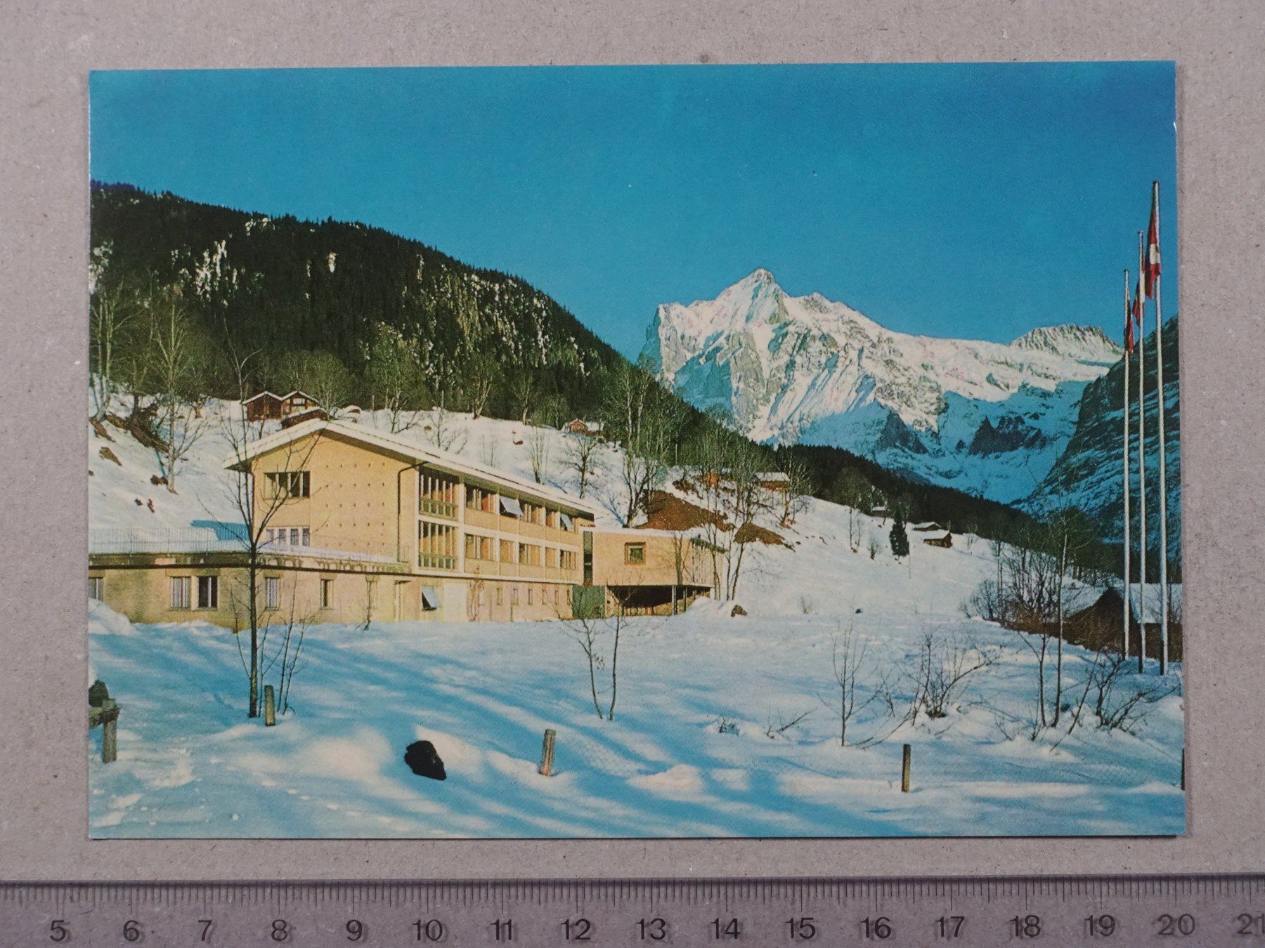 Cartoline postali: Grindelwald, Ferienheim Biel - Madretsch – Usato da Lenzburg venduto da fh1