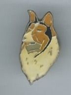 Hund PIN