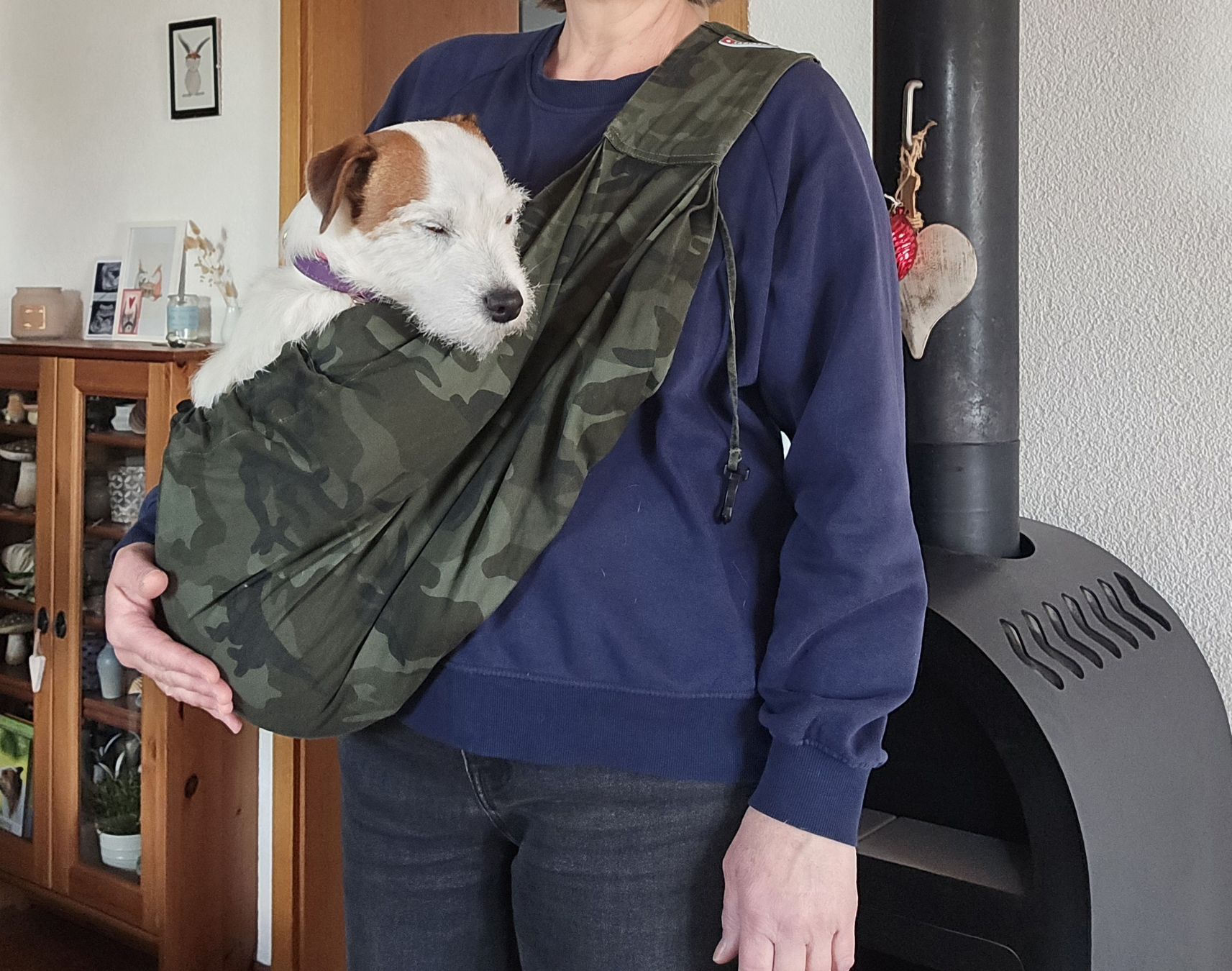 Cucce & Letti: Hundetragetuch 4lazylegs – Nuovo (secondo la descrizione) da Utzigen venduto da u.beutler01 5
