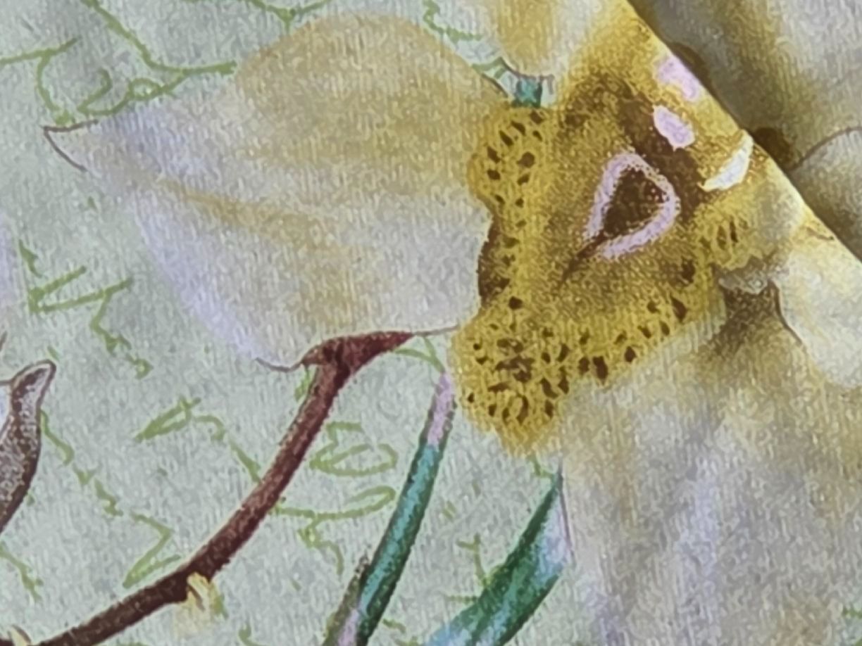 Codello Foulard & Sciarpe: Seidenfoulard 88 x 85, Codello – Nuovo (secondo la descrizione) da Frauenfeld venduto da Schenken-mit-Herz 2
