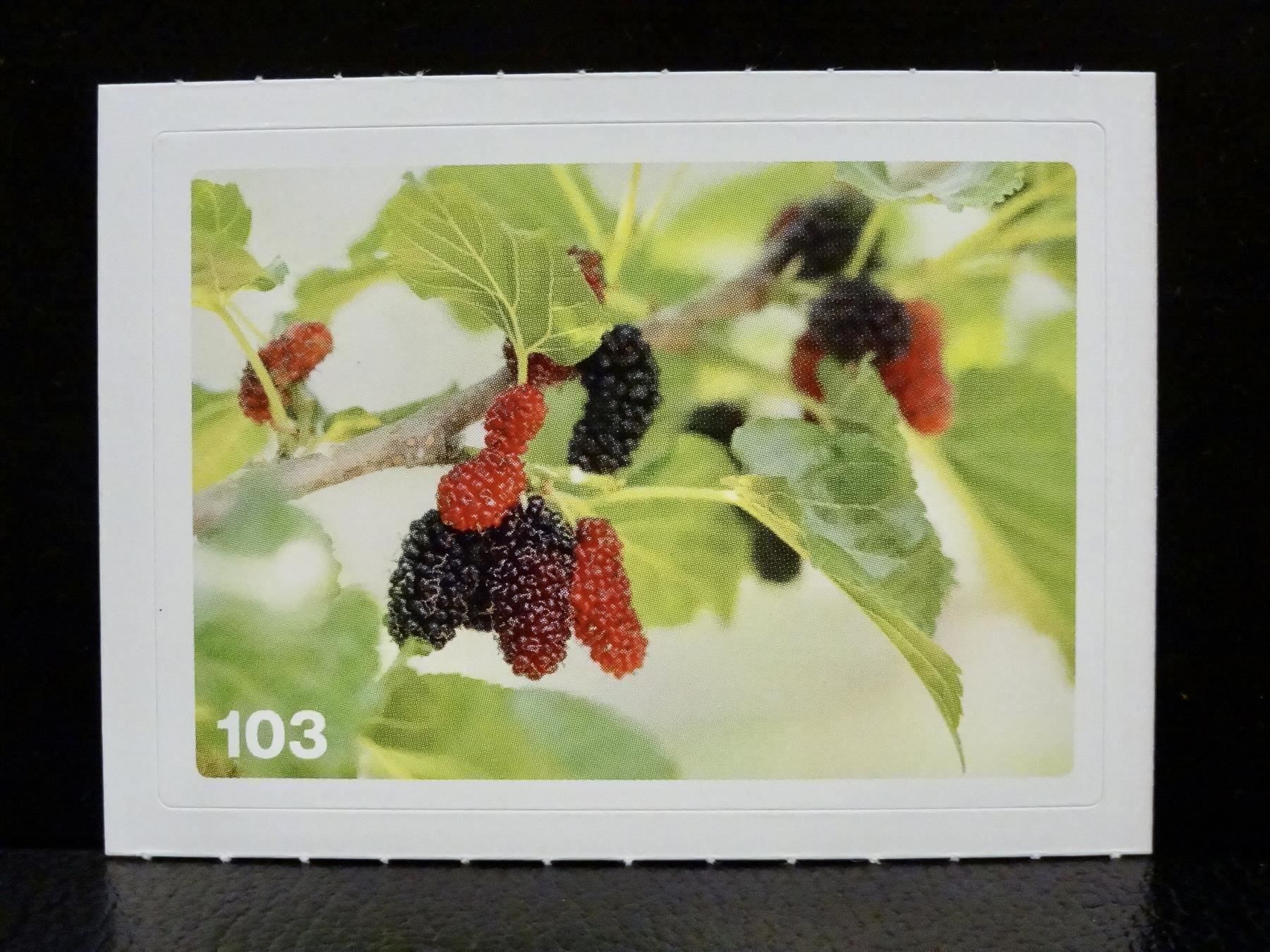 Migros Carte collezionabili: MIGROS MANIA Nature Detectives Nr. 103 – Usato da Kerzers venduto da zimmergruen
