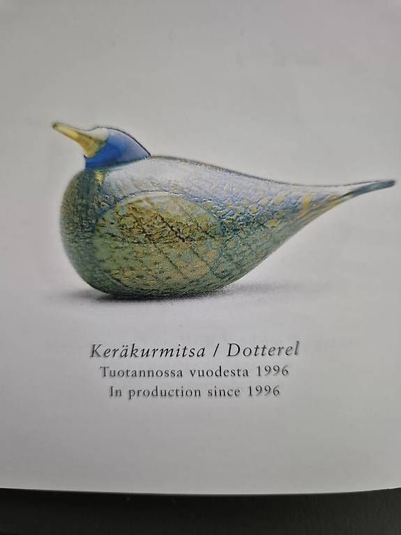 Iittala Statuette: OIVA TOIKKA. Glasvogel "Dotterel" Iittala – Usato da Dübendorf venduto da helenlisa 1