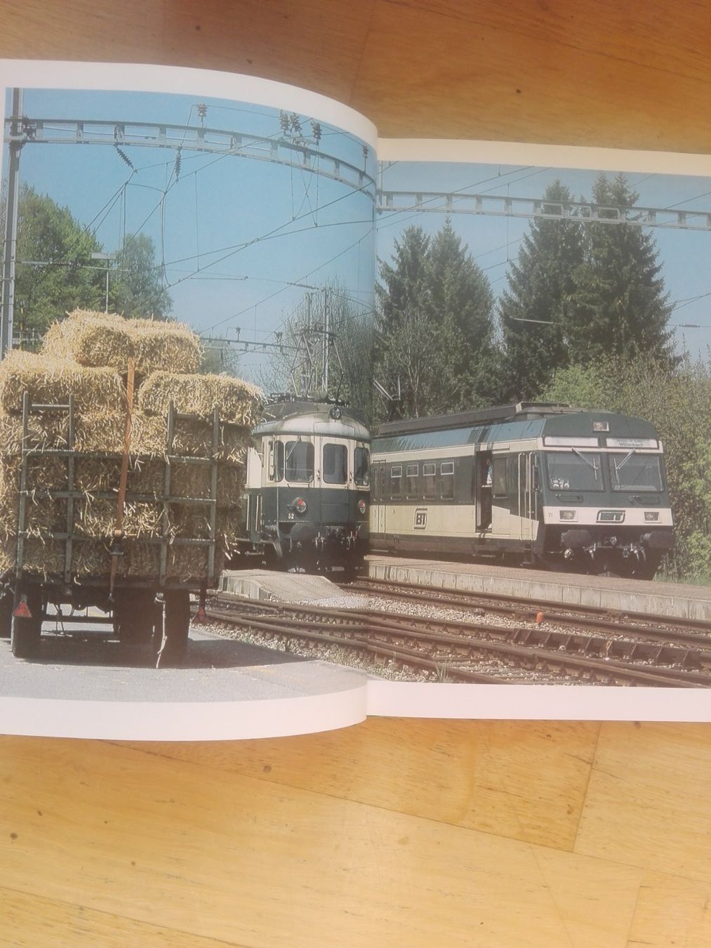 Libri: Die Fünf-Seen-Bahn - Mit der Bahn > Bodensee-Vierwaldstätter – Usato da St.Gallen venduto da elk2023 6