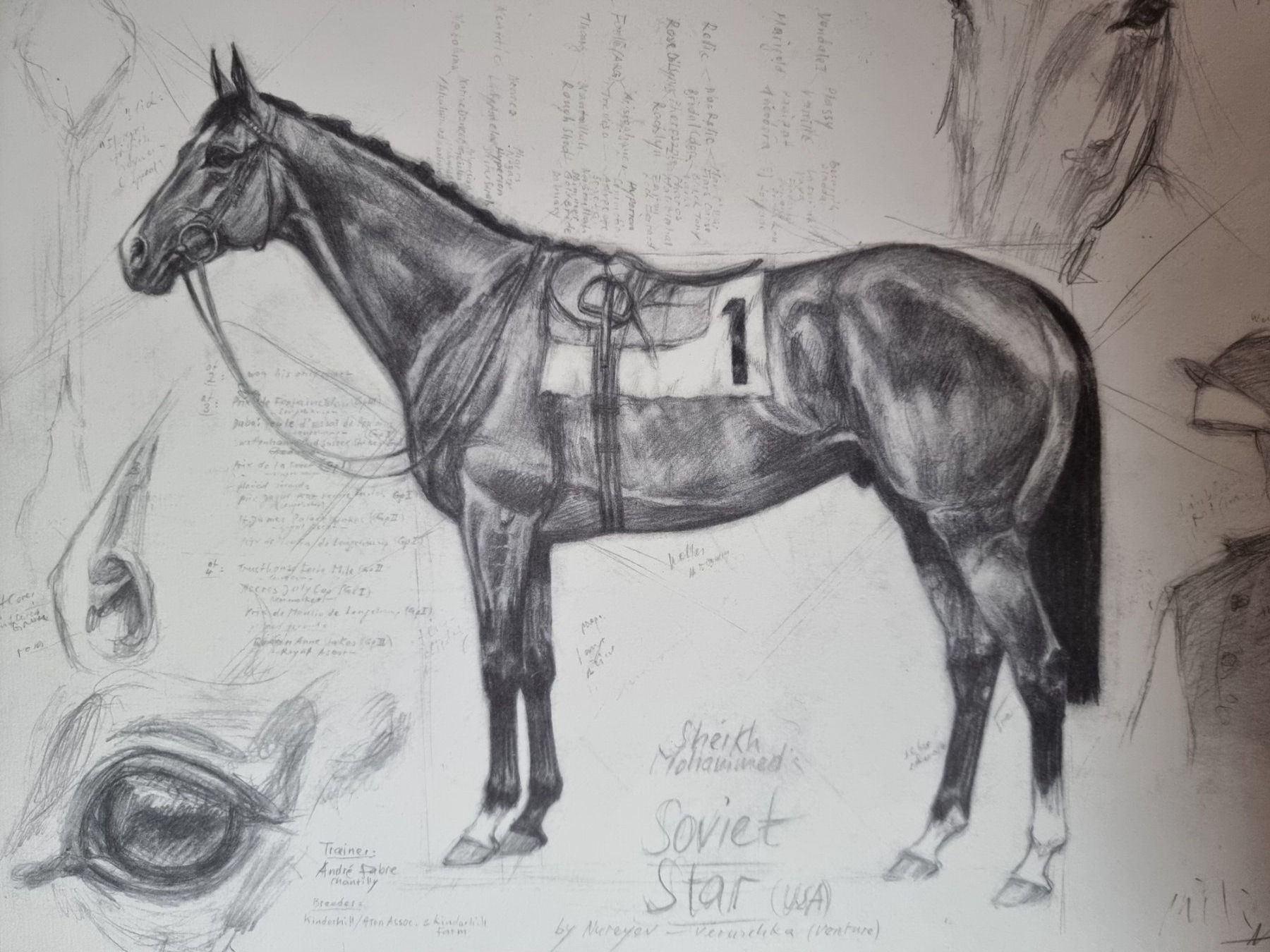 Grafica & Litografie: Klaus Philipp Kunstdruck  Platini – Nuovo (secondo la descrizione) da Arosa venduto da horseracing 1