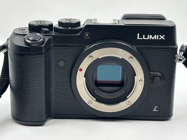 Panasonic Fotocamera: Panasonic Lumix DMC - GX8 + 14-140mm 4-5.8 Mega O.I.S. – Usato da Seewis Dorf venduto da Plebejus 4