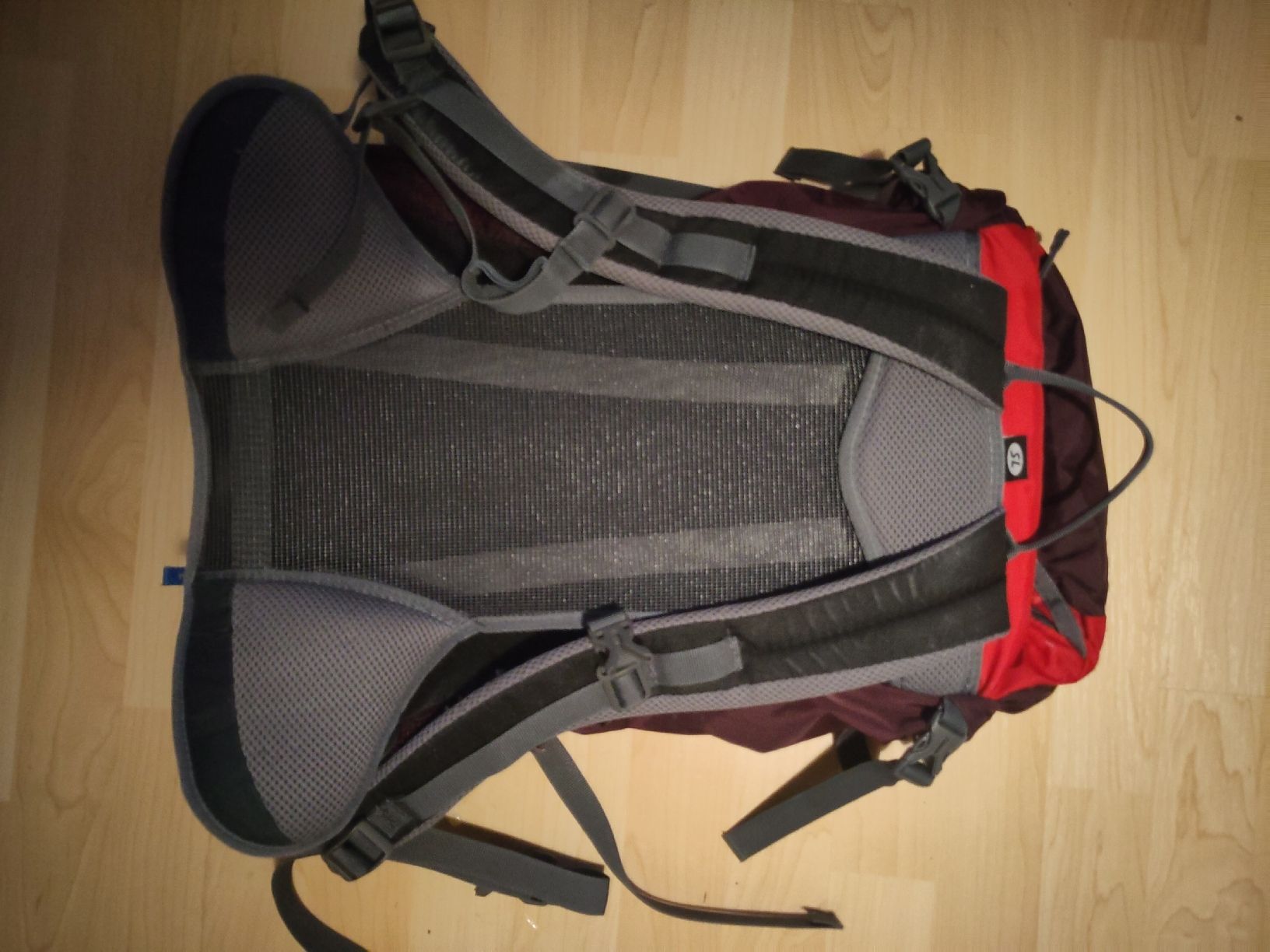Deuter Sacs à dos: Deuter Rucksack – Neuf (Voir description) à Lenzburg par ann_pqv9 1