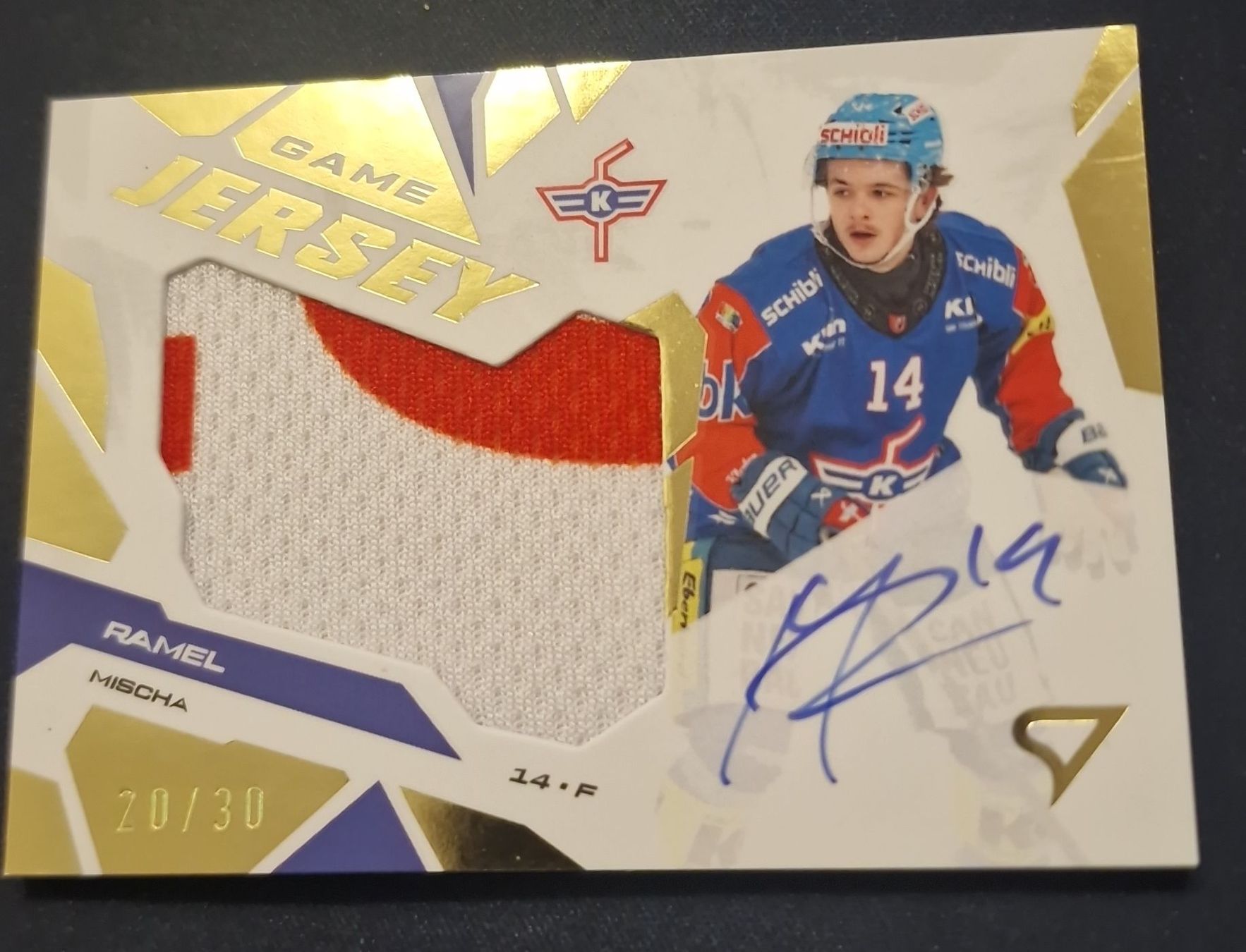 Sportzoo Carte collezionabili: EHCK Ramel Game Jersey Signed 20/30 – Nuovo (secondo la descrizione) da Bürglen UR venduto da Snuffinski90