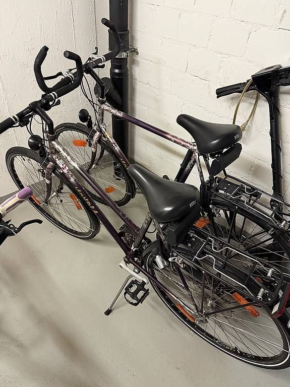 Shimano Biciclette: Frauen und Männer Velo – Usato da Rümlang venduto da dra_mt98