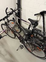 Frauen und Männer Velo