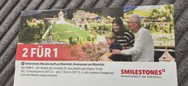 2 für 1: Ticket für die Miniaturwelt am Rheinfall!