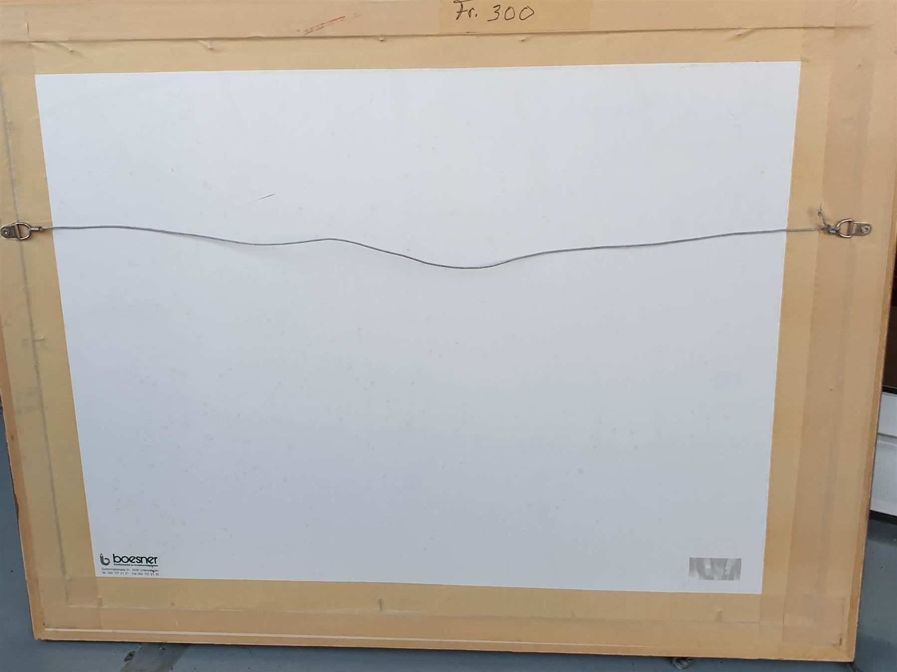Grafica & Litografie: Tolles Aquarelle / Albert Rüegg – Usato da Zürich venduto da B-Rock 9