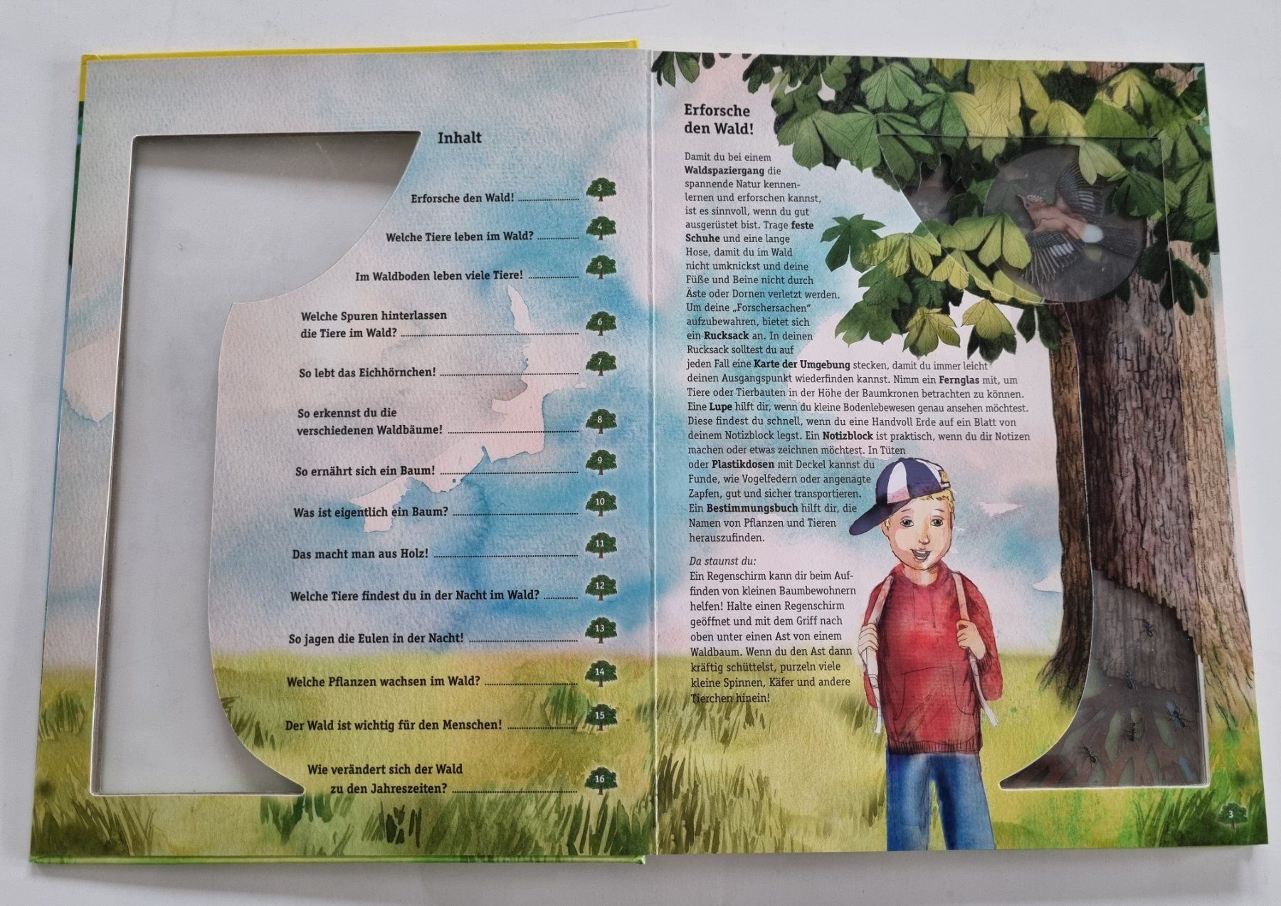 Libri: Wunderschönes, Wissen mit Durchblick: Das Leben im Wald – Usato da Opfikon venduto da Diversamente 2