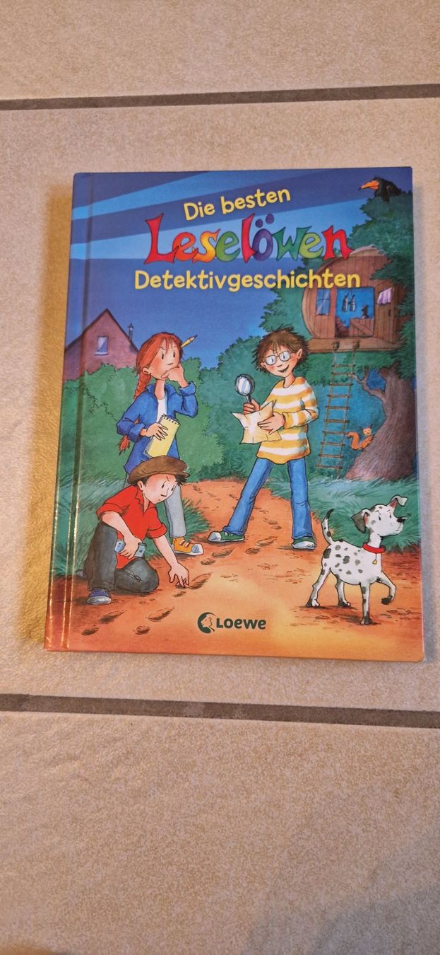 Bücher: Leselöwen 3. Klasse dickes Buch – Gebraucht aus Zeiningen von rimoni