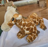 Giraff Plüschtier gebraucht siehe Foto aber immer noch schön