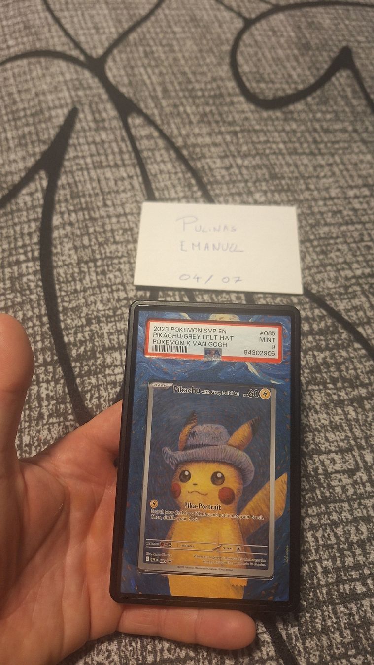 Pokémon Cartes à collectionner: pikachu grey van gigh – Neuf (Voir description) à Wald ZH par J_11 3