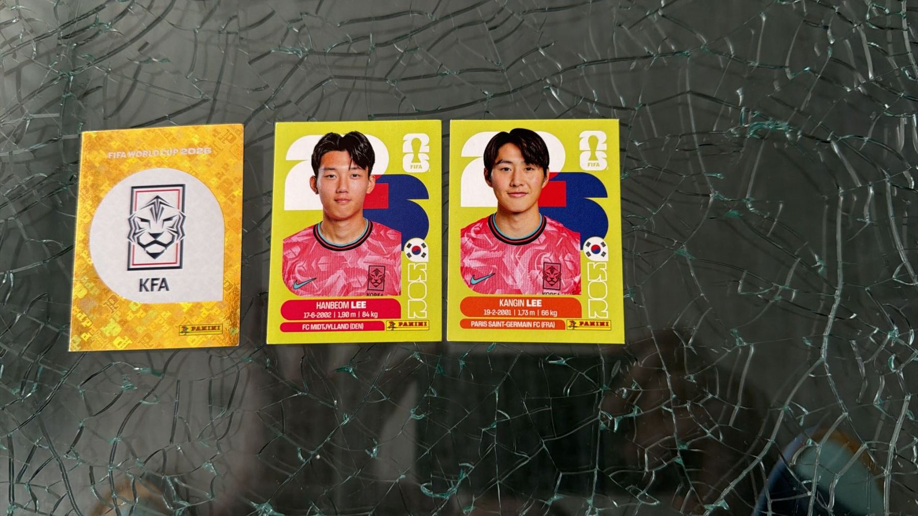 Panini Carte collezionabili: WM 2026 - Panini - Korea – Usato da Pfäffikon ZH venduto da Marcodesi76