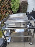 Plancha modèle prof 3000Watt