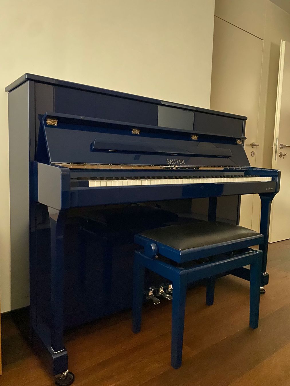 Strumenti musicali: Wenig gebrauchtes KLAVIER SAUTER,CANTUS 114, SONDEREDITION – Usato da Walchwil venduto da Zentralschwiiz