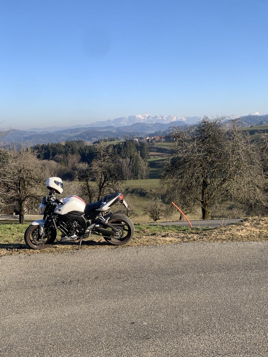 Strasse: Yamaha FZ1 – Gebraucht aus Winterthur von leo_bt2x