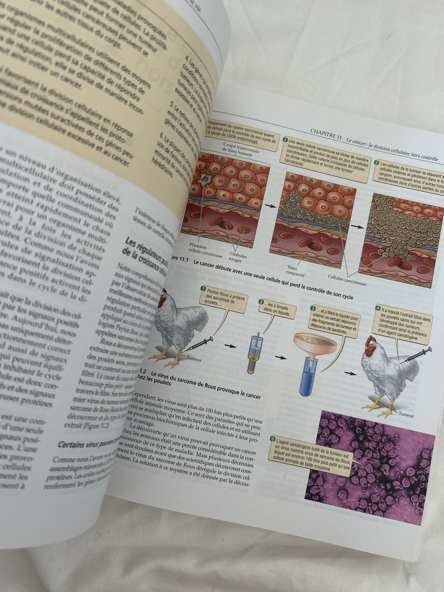 Libri: Découvrir la biologie CAIN – Usato da Genève venduto da Niara18 3