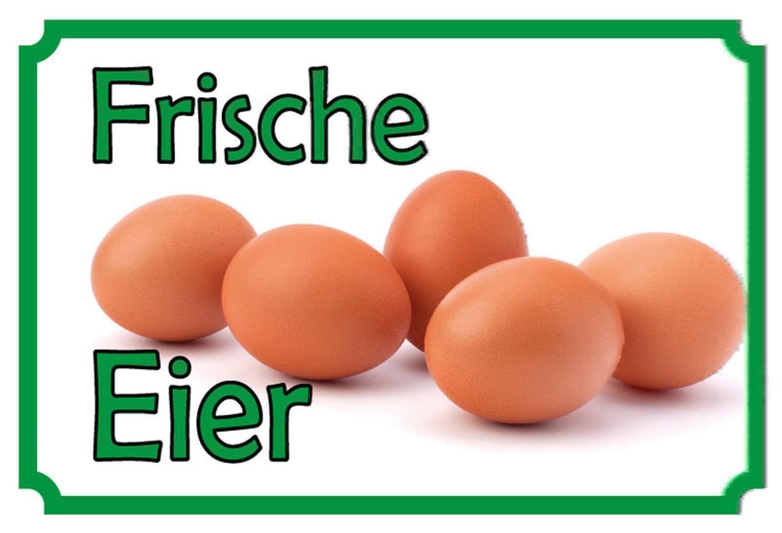Schilder: Blechschild-FRISCHE EIER – Neu und originalverpackt aus Rupperswil von big-one-sale