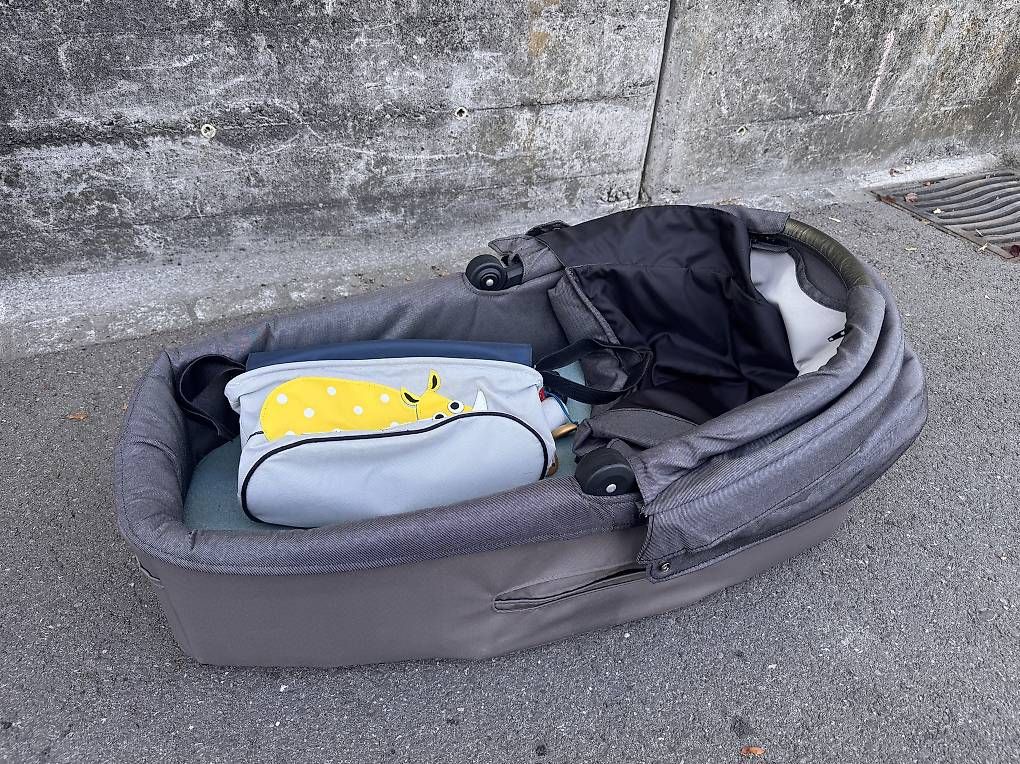 Gesslein Carrozzine: Kinderwagen Gesslein – Usato da Münsingen venduto da Legue 1