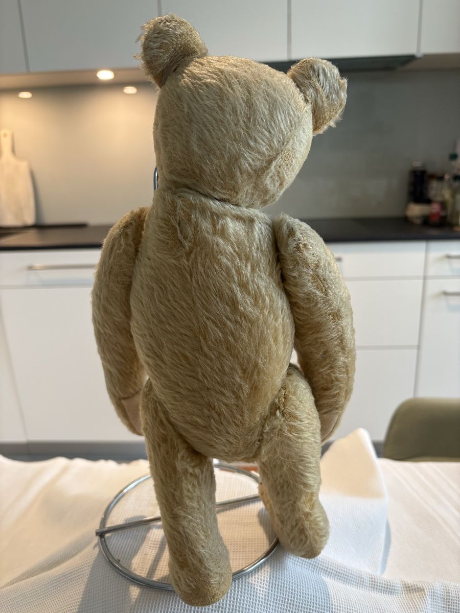 Steiff Giocattoli: Steiff Teddy – Usato da Schönenberg ZH venduto da Roxana8820 3